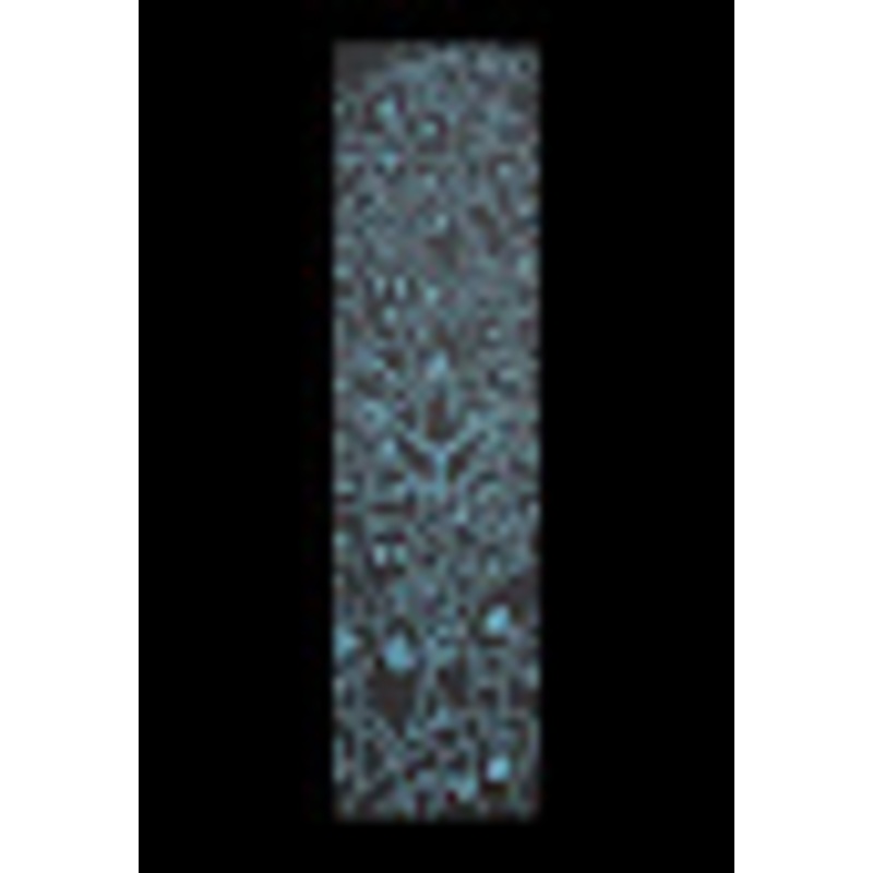 Envy Colt Teal Scooter Griptape